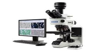 Optical Microscope