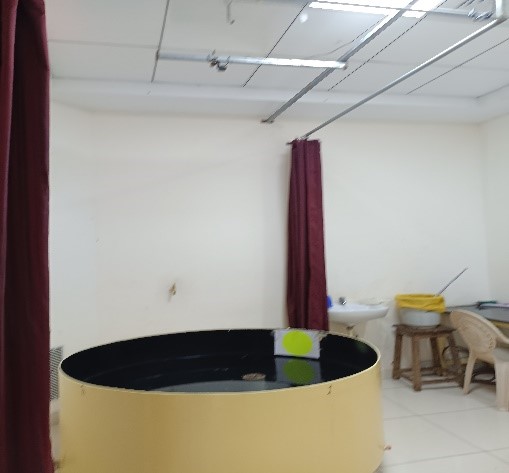 Morris Water Maze (MWM) with Camera