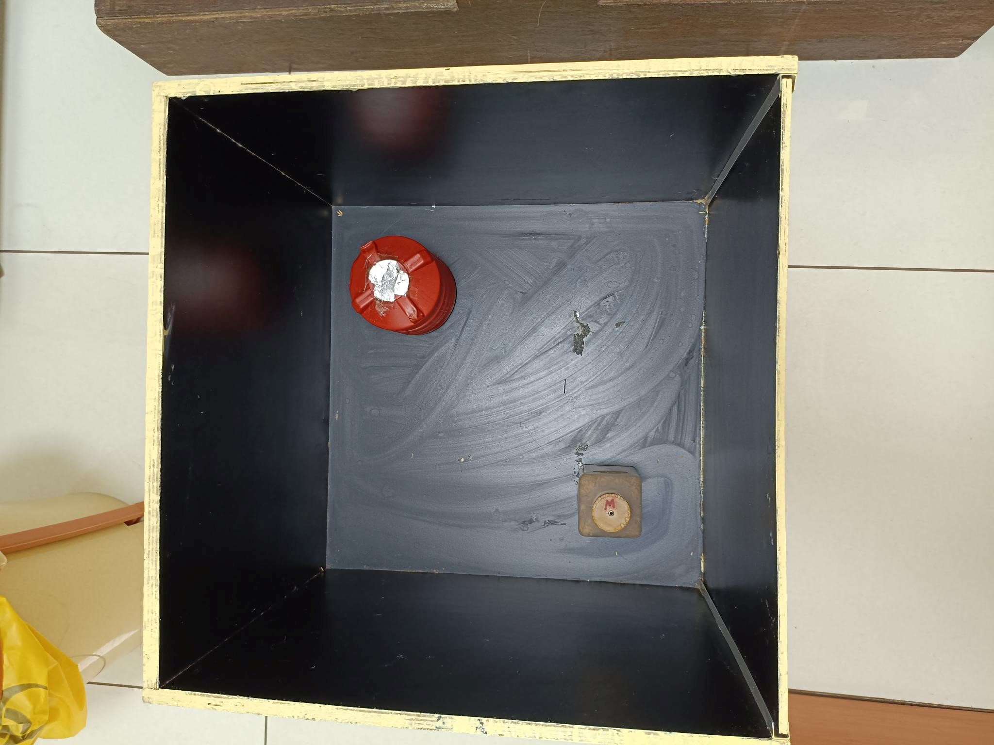 Novel Object Recognition Test (NORT) Apparatus with Camera and Objects